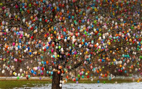 An Osterbaum Easter Tree In Saalfeld Germany © Chromorangealamy