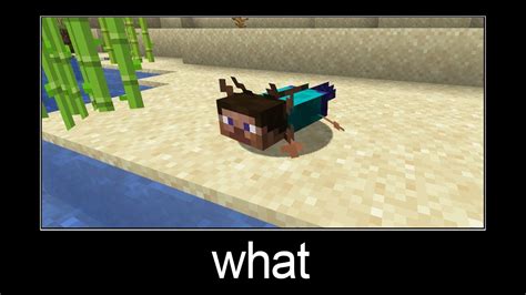 Minecraft Wait What Meme Part 102 Steve Axolotl Youtube