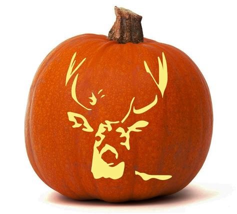 Deer Pumpkin Pumpkin Carving Contest Pumpkin Stencil Pumpkin