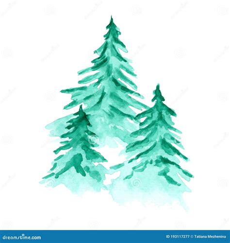 Vector Watercolor Background With Green Fir Forest Stock Vector