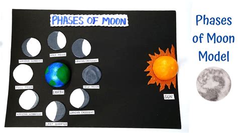 Phases Of Moon Model Model Of Moon Phases Model For School