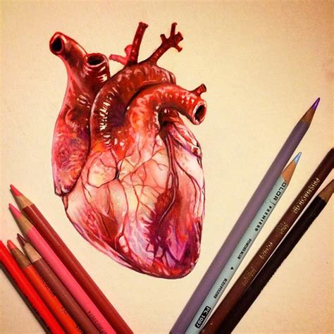 30 Astonishing Color Pencil Drawings By Morgan Davidson
