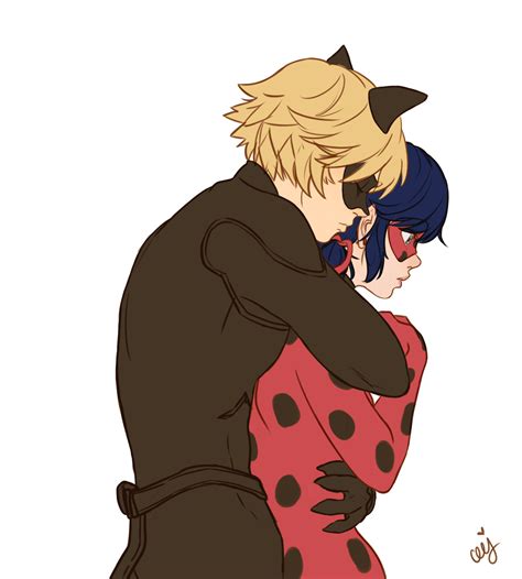 Cat Noir Anime  Wil Lady Bug Come To His Rescue