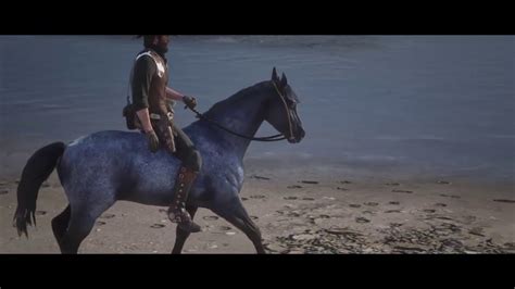 Red Dead Redemption 2 Freeroam Riding Blue Roan Nokota Location