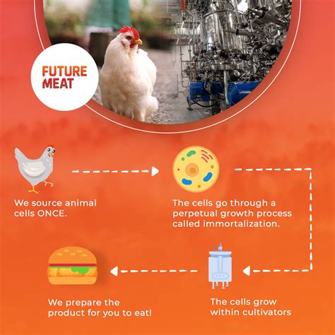 Cultured Meat Advantages Cultivating The Future Of Meat Future Meat