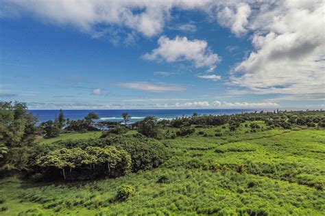 Untouched Hawaii Prime Location Walk To Hamoa Beach 168 Acres Hana Maui Hawaii