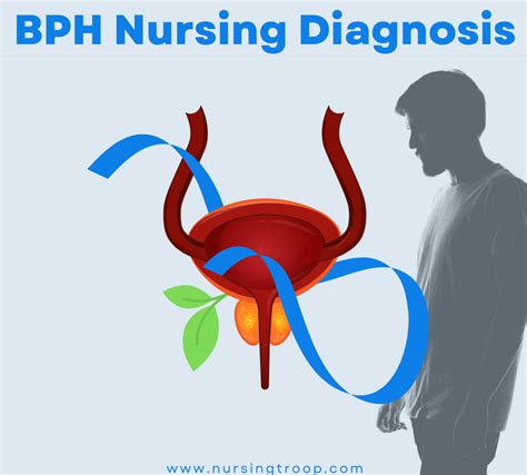 Benign Prostatic Hyperplasia Bph Nursing Diagnosis Interventions Nursingtroop