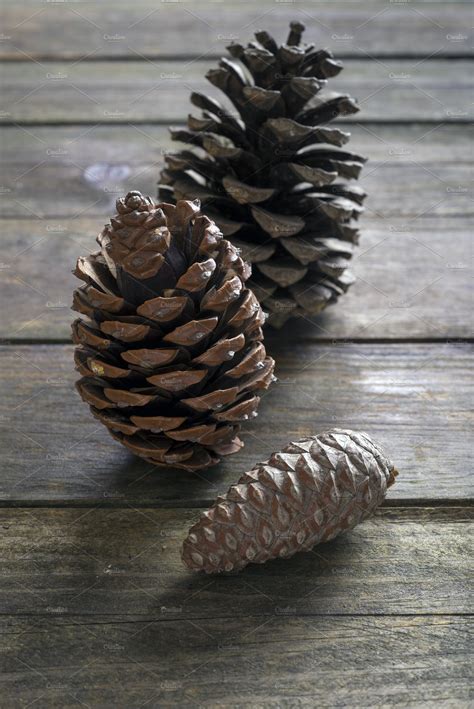 Pine Cones Stock Photo Containing Pine Cone And Tree High Quality