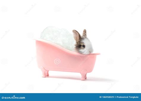 Adorable Fluffy Rabbit Bathing And Relaxing With Bubble In Pink Bath