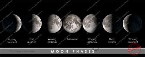 The Pisces Full Moon Jessica Adams Psychic Astrologer