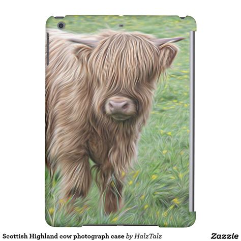 Scottish Highland Cow Photograph Case Case For Ipad Air Uk