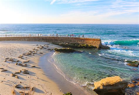 30 Best Things to Do in La Jolla, California | Fun Local Tips | La