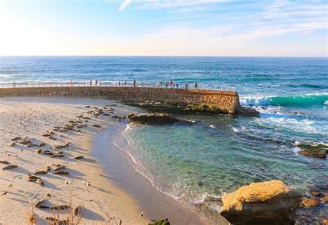 30 Best Things To Do In La Jolla California Fun Local Tips La