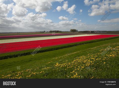 Spring Netherlands Image And Photo Free Trial Bigstock
