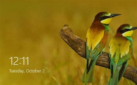 Free Download Set Bing Homepage Picture As Windows 8 Lock