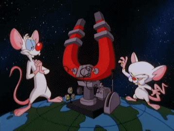 Do you like this gif of pinky and the brain? Pinky And The Brain GIF - Find & Share on GIPHY