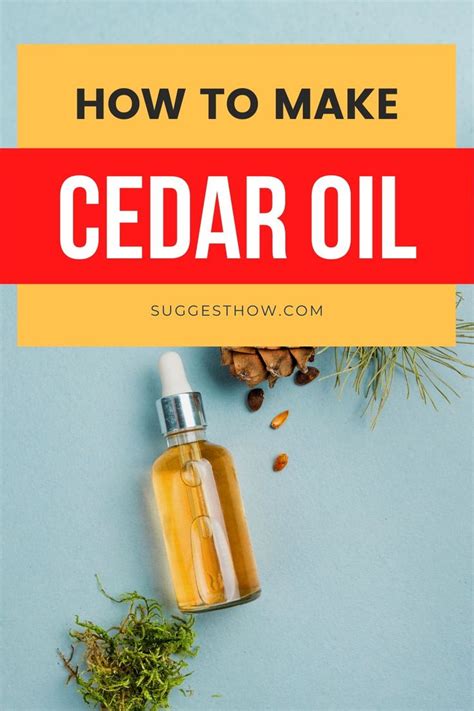 How To Make Cedar Oil Follow These Different Methods Cedar Oil Cedar Essential Oil Cedar