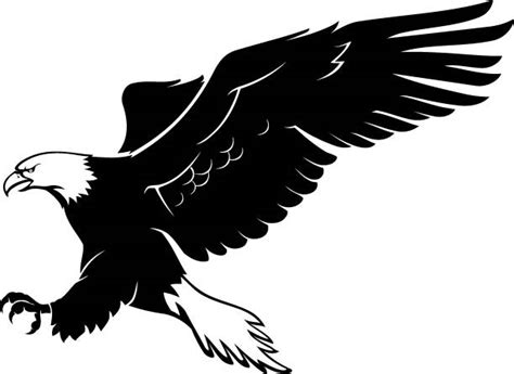 Bald Eagles Illustrations Illustrations Royalty Free Vector Graphics