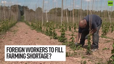 will we need foreign farm workers post brexit youtube