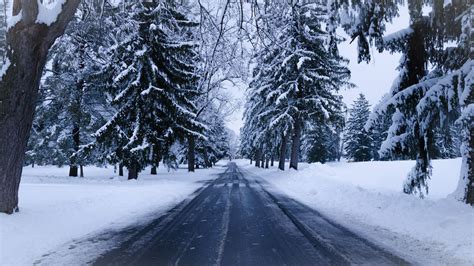 Download Wallpaper 1366x768 Winter Road Snow Trees Winter Landscape