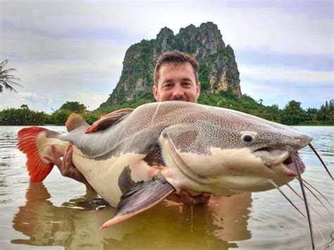 Fishing In Thailand July 2020 Jurassic Mountain Resort