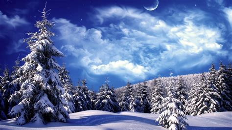 10 Most Popular Winter Wonderland Background Pictures Full Hd 1920×1080