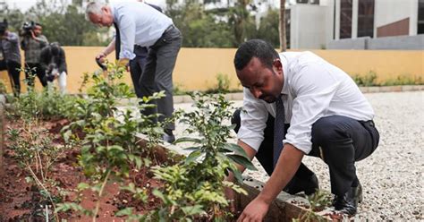 Green Legacy Initiative In Ethiopia Plants 350 Million Trees