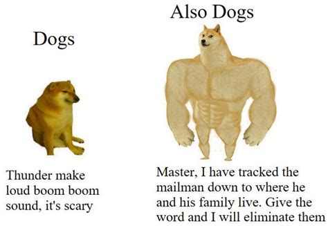 Swole Doge Vs Cheems Meme Template Made A New Swole Doge Vs Smort