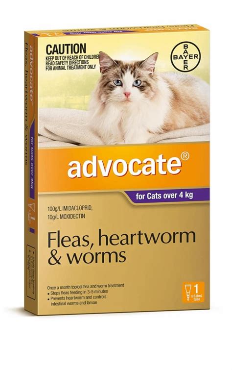 Oklahoma City Mall Advocate For Small Cats Under 4kg Orange Fleas Worms