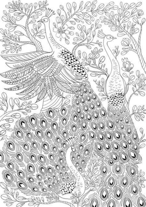 What makes the peacock's feathers so brilliant? Beautiful Peacock #adult #colouring | Adult Colouring ...