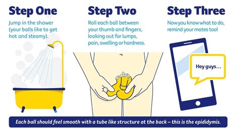 Check out our article on how to overcome psychological ed. How To Check To See If You Have Testicular Cancer / Men S ...