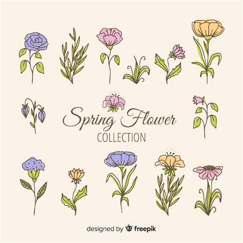 Free Vector Hand Drawn Spring Flower Collection