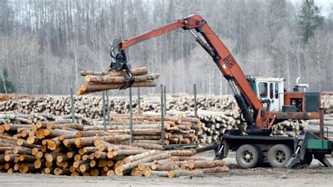 Canada Logging Damages Environment