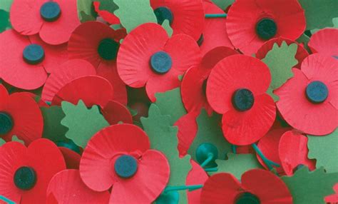 How To Wear A Poppy What Is The Right Way To Wear A Poppy The British
