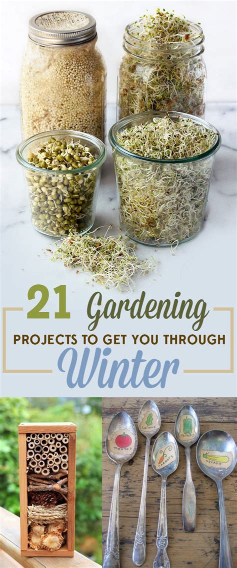 21 Gardening Projects To Get You Through Winter