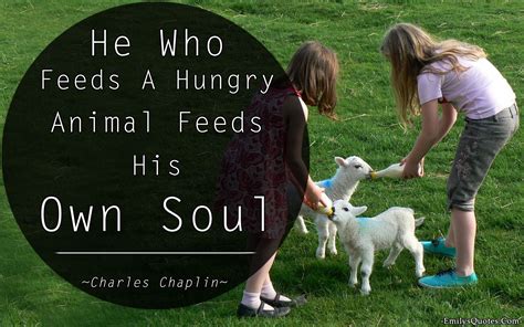 He Who Feeds A Hungry Animal Feeds His Own Soul Popular Inspirational