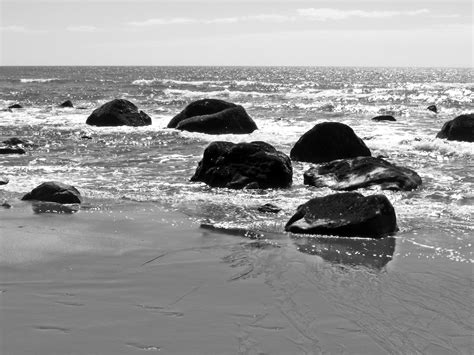 Photographing New Zealand Black And White Beach