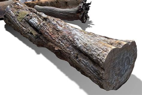 13 Tree Logs 3d Model By Beatheart