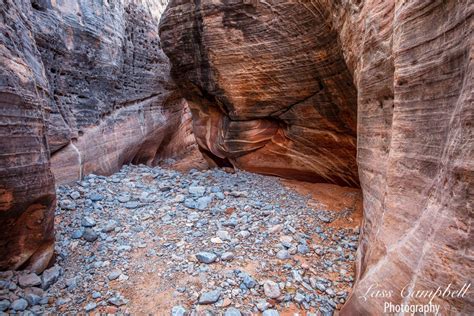 Slot Canyon White Domes Valley Of Fire State Park Nevada Etsy