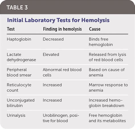 Hemolytic Anemia Evaluation And Differential Diagnosis Aafp