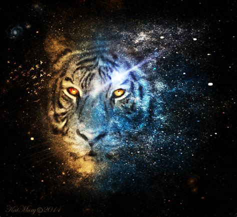 Tiger Tiger Burning Bright By Katmary On Deviantart