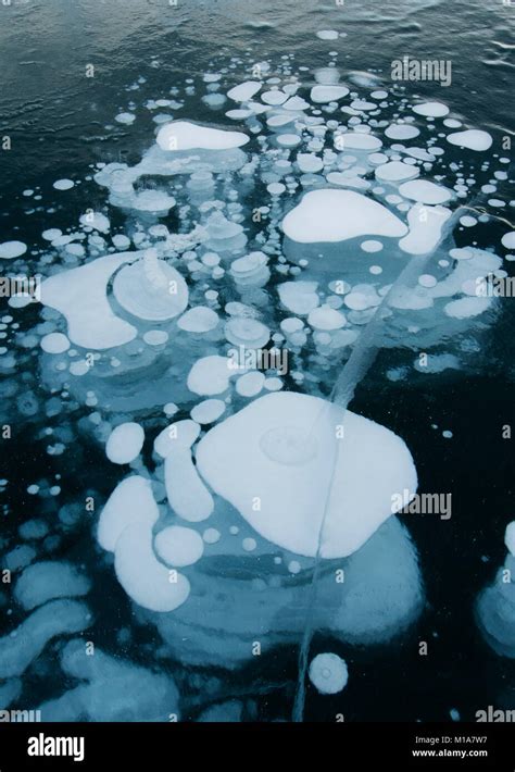 Frozen Methane Bubbles Winter Abraham Lake Canadian Rockies Alberta