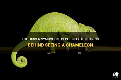 The Hidden Symbolism Decoding The Meaning Behind Seeing A Chameleon