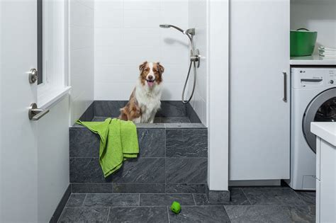 5 Benefits Of Having A Dog Wash Station In Your Home Contemporist