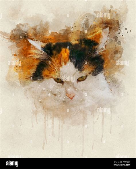 Watercolor Illustration Of A Calico Cat Calico Cats Are Domestic Cats