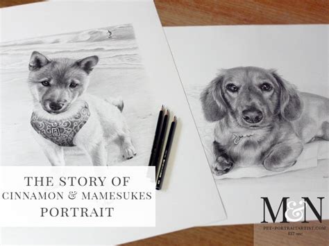 Two Pencil Pet Portraits Melanie And Nicholas Pet Portraits