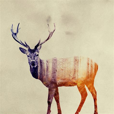 Beautiful Double Exposure Photos Blend Wildlife With Wild Terrain By