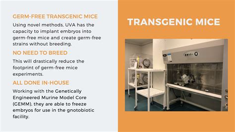 Gnotobiotic Germ Free Animal Facility Transuniversity Microbiome