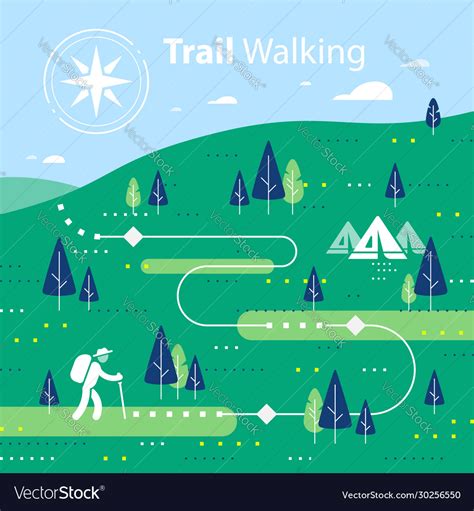 Hiking Map Forest Trail Running Or Cycling Path Vector Image