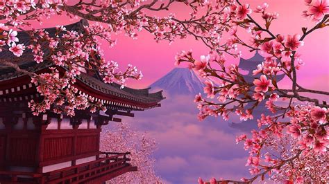 cherry blossom tree wallpapers top những hình Ảnh Đẹp